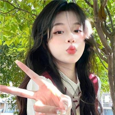 年鉴计划